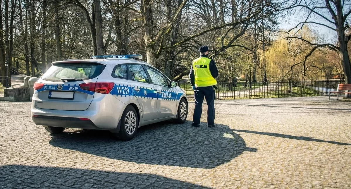 Nasze sprawy, Niepokojące zdarzenie Żywcu Drzewo upadło samochód osobowy - zdjęcie, fotografia