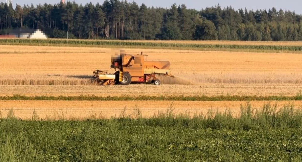 Nasze sprawy, Gmina Węgierska Górka wieloma nominacjami plebiscycie Mistrzowie - zdjęcie, fotografia