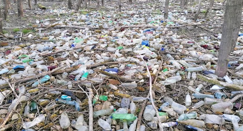 Fot. SSR Żywiec - Społeczna Straż Rybacka Powiatu Żywieckiego