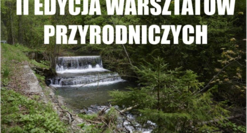 UG Ujsoły