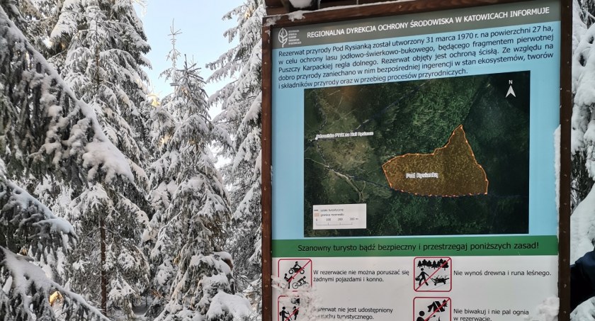 Fot. RDOŚ w Katowicach