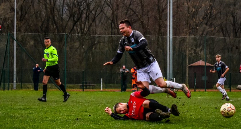 Fot. Bory Pietrzykowice
