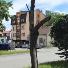 zdjęcie nr 21