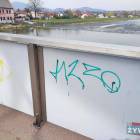 Fotka nr 4 z 5