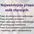 Fotka nr 2 z 3