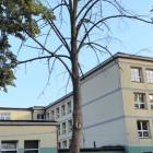 zdjęcie nr 8