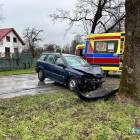 Fotka nr 2 z 3