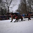 zdjęcie nr 13