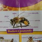 zdjęcie nr 29