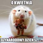 Fotka nr 2 z 5