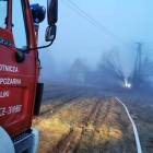 zdjęcie nr 7