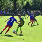 zdjęcie nr 21