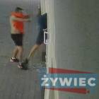 Fotka nr 5 z 6