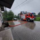 Fotka nr 5 z 6