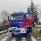 Fotka nr 3 z 7