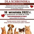 Fotka nr 1 z 2