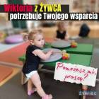 Fotka nr 3 z 4