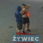 Fotka nr 1 z 6