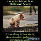 Fotka nr 4 z 5