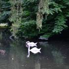 Fot. TuZywiec.pl