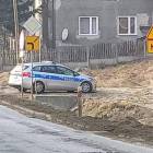 Fotka nr 2 z 6