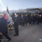 Fotka nr 5 z 11