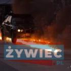 Fotka nr 5 z 7