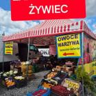 zdjęcie nr 8