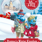 zdjęcie nr 17