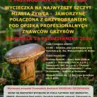 Fotka nr 0 z 1