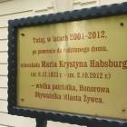 Fotka nr 5 z 8