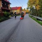 Fotka nr 0 z 1
