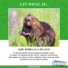 Fotka nr 0 z 4