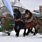 zdjęcie nr 10