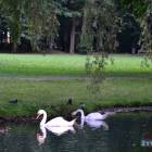 Fot. TuZywiec.pl