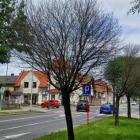 zdjęcie nr 16