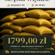 zdjęcie nr 