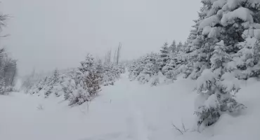 Akcja Zima 