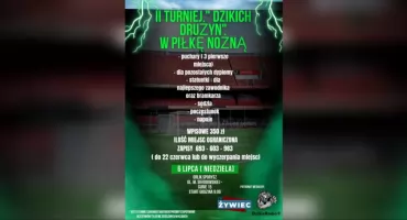 Turniej Dzikich Drużyn – ruszają zapisy! 
