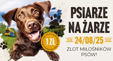 Psiarze na Żarze – wyjątkowe wydarzenie dla miłośników psów