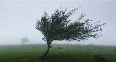 Ostrzeżenie meteorologiczne dla Żywiecczyzny