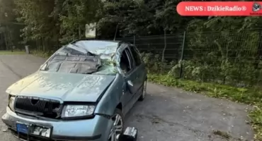 Wypadek w Kocierzu Rychwałdzkim – auto wpadło do rowu