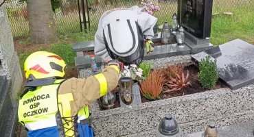 Usunięcie gniazda os na cmentarzu parafialnym w Oczkowie