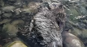 Zero tolerancji dla łamania prawa nad wodą! SSR Powiatu Żywieckiego działa stanowczo