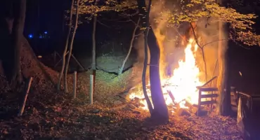 Pożar w lasku przy ul. Krakowskiej w Żywcu
