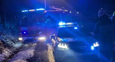 Kolizja samochodu w Międzybrodziu Bialskim