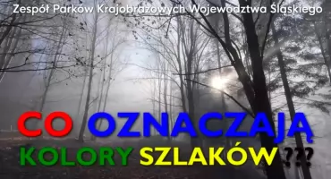 Co naprawdę oznaczają kolory szlaków turystycznych?