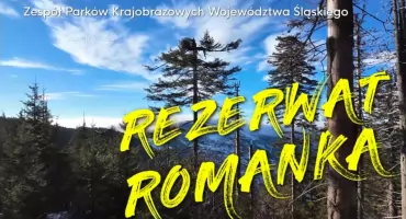 Rezerwat Romanka – ocalić fragment dawnej puszczy karpackiej
