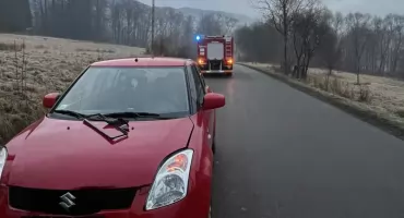 Zdarzenie drogowe z udziałem dzikiej zwierzyny w Lipowej