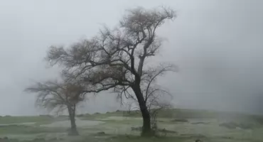 Gęsta mgła i możliwa śliskość – ostrzeżenie meteorologiczne